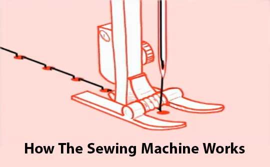 How Does A Sewing Machine Work? All You Need To Know