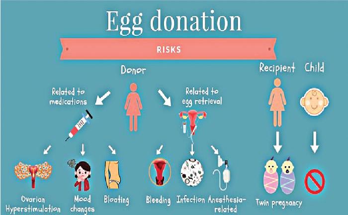Women who carelessly donate eggs risk ovary shutdown, infertility, experts warn - Punch Newspapers