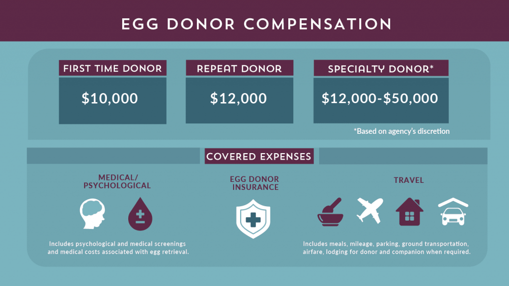 How Much Are Egg Donors Paid? - Growing Generations
