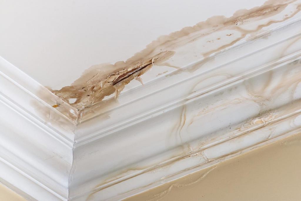 2022 Ceiling Repair Costs | Fix Drywall, Water Damage, Leaks, Plaster