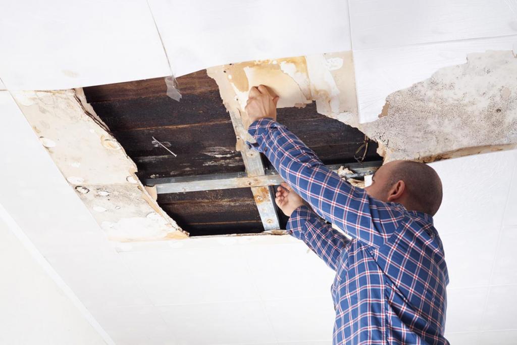 2022 Ceiling Repair Costs | Fix Drywall, Water Damage, Leaks, Plaster