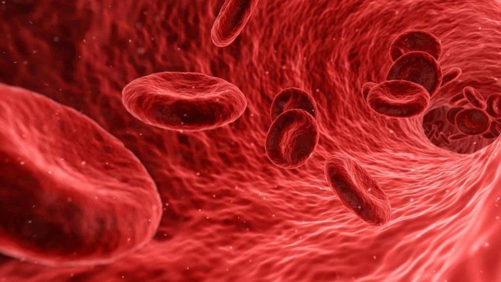 HealthBytes: Low on hemoglobin? Here's how you can boost it | NewsBytes