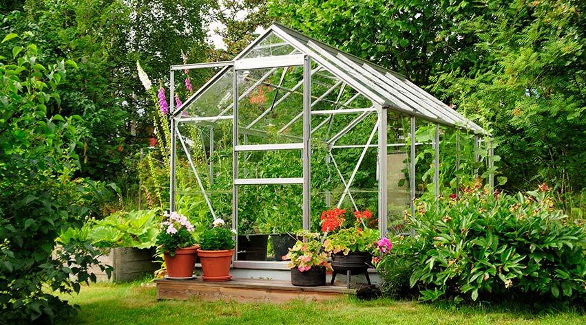 Setting Up A Greenhouse: Complete Guide for Beginners