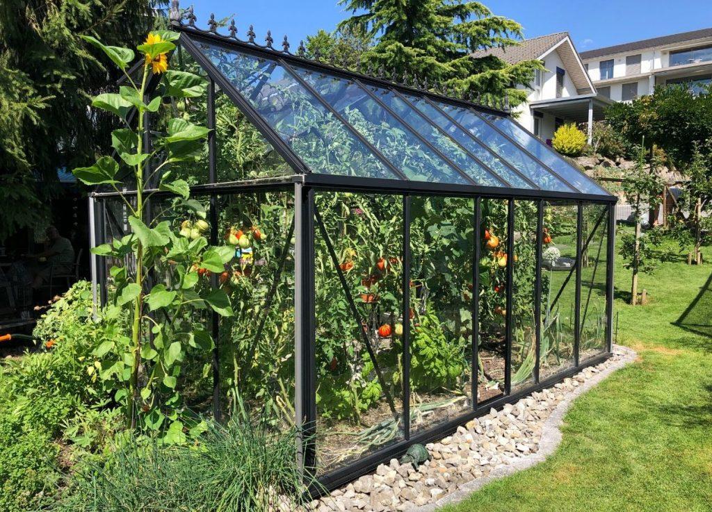 How To Set up A Greenhouse - How To Plant Your Garden