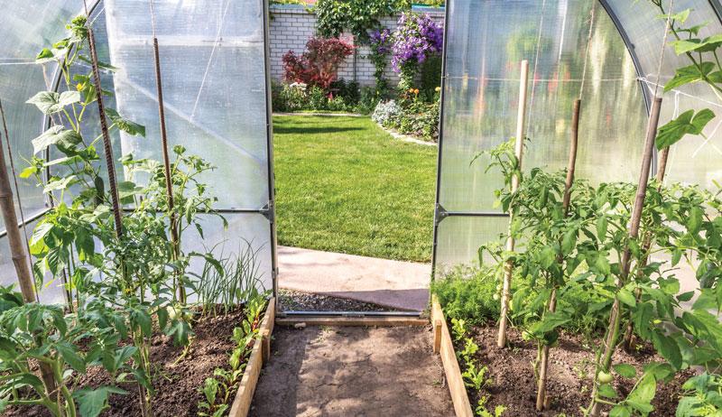Why You Should Consider Setting Up A Greenhouse - Hobby Farms