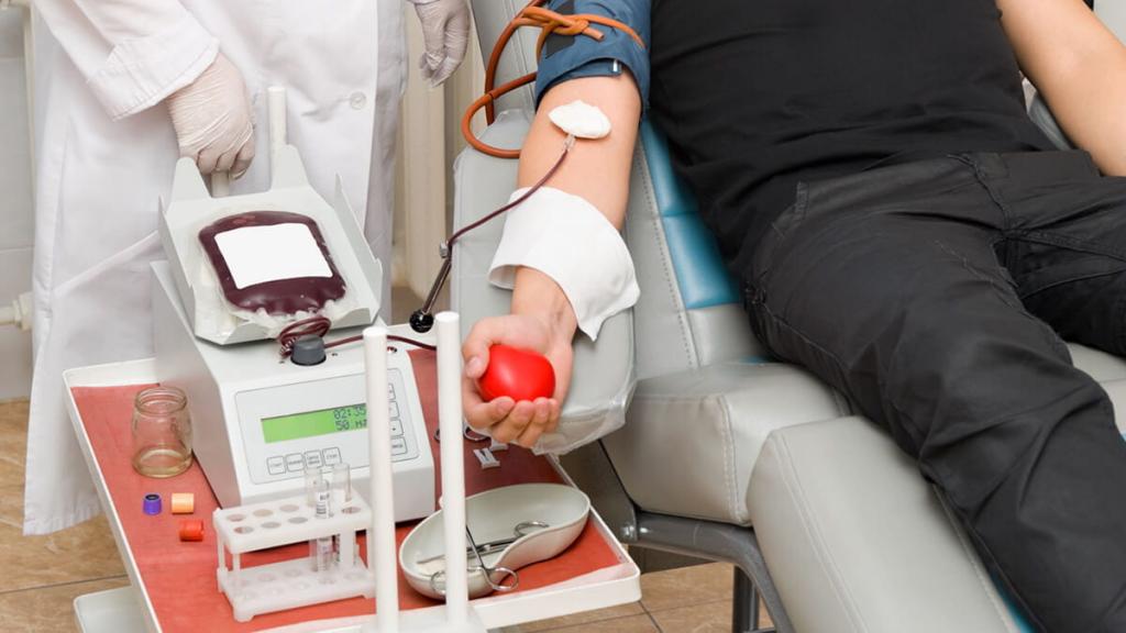 A Healthy Education in Blood Donation: 10 Things You Might Not Know | Walden University