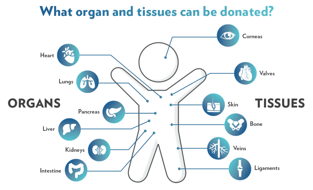 Organ Donation Facts and Statistics | Donor Network West