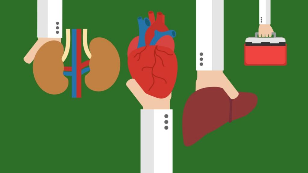 Here's how organ donation works in Canada - National | Globalnews.ca
