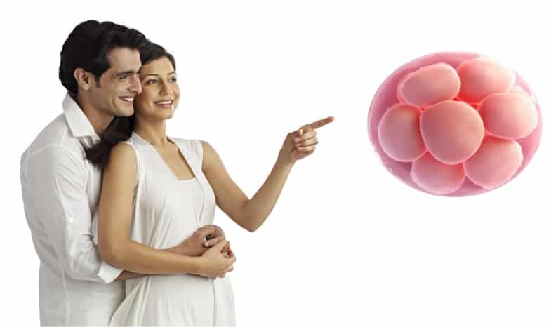 What is the Procedure of IVF with Donor Embryos?