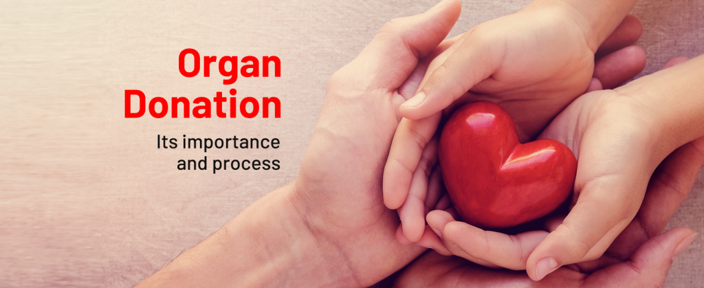 Organ Donation: All about it's Importance and Process | KDAH Blog