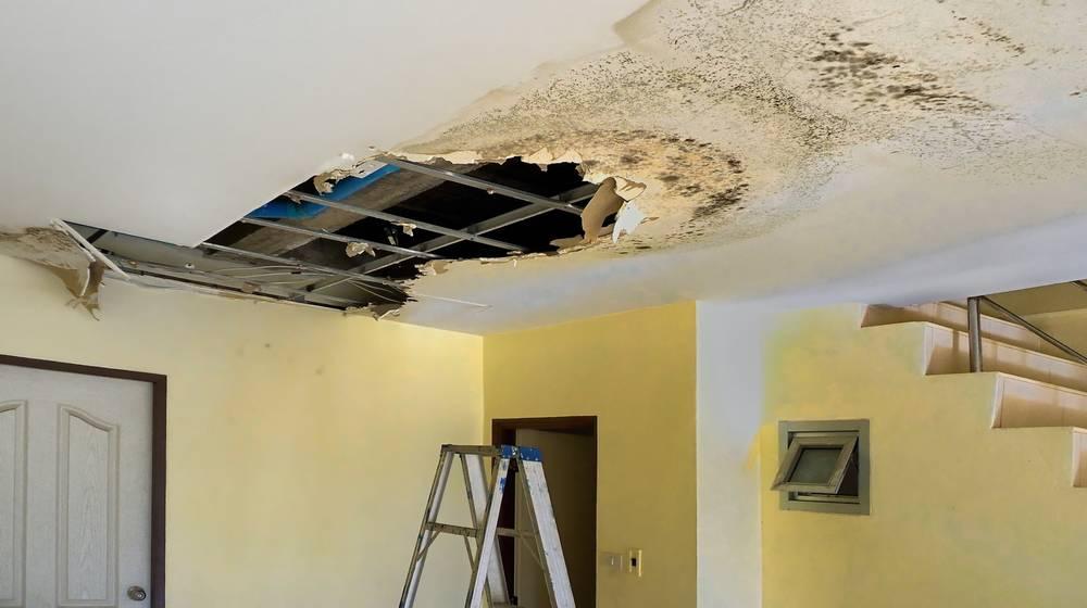 A Beginner's Guide To Ceiling Repair | DIY Projects