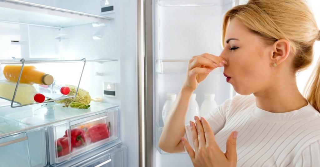 Top Facts to Know to Tell A Good Refrigerator from A Bad Refrigerator - Alit Had News