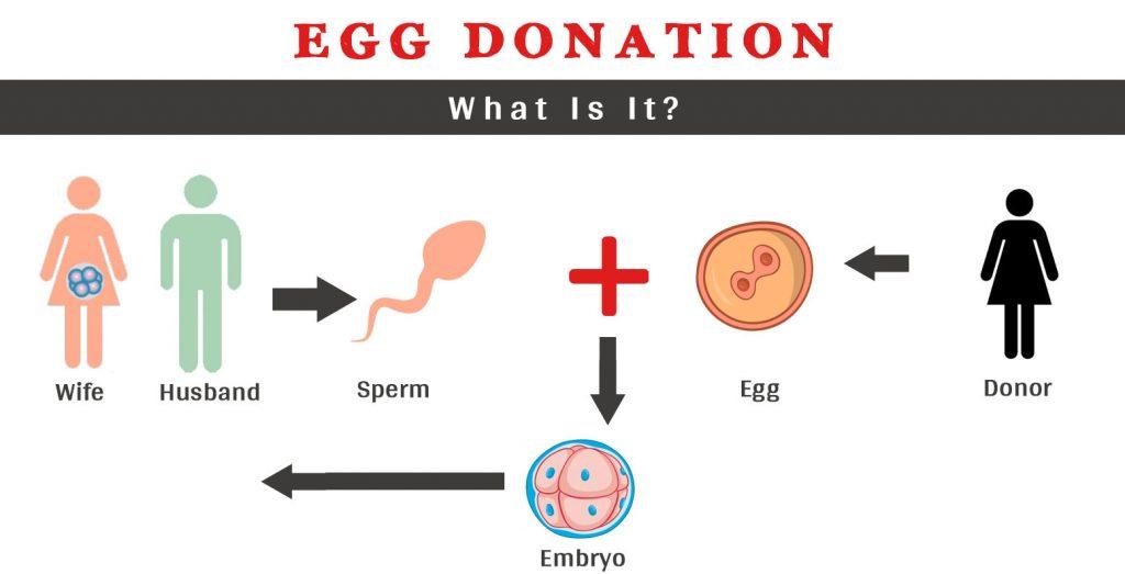 Egg donation centre in Punjab | Gem Hospital and IVF Centre