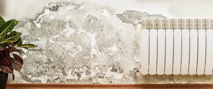 How to Repair Water-Damaged Drywall | Direct Energy