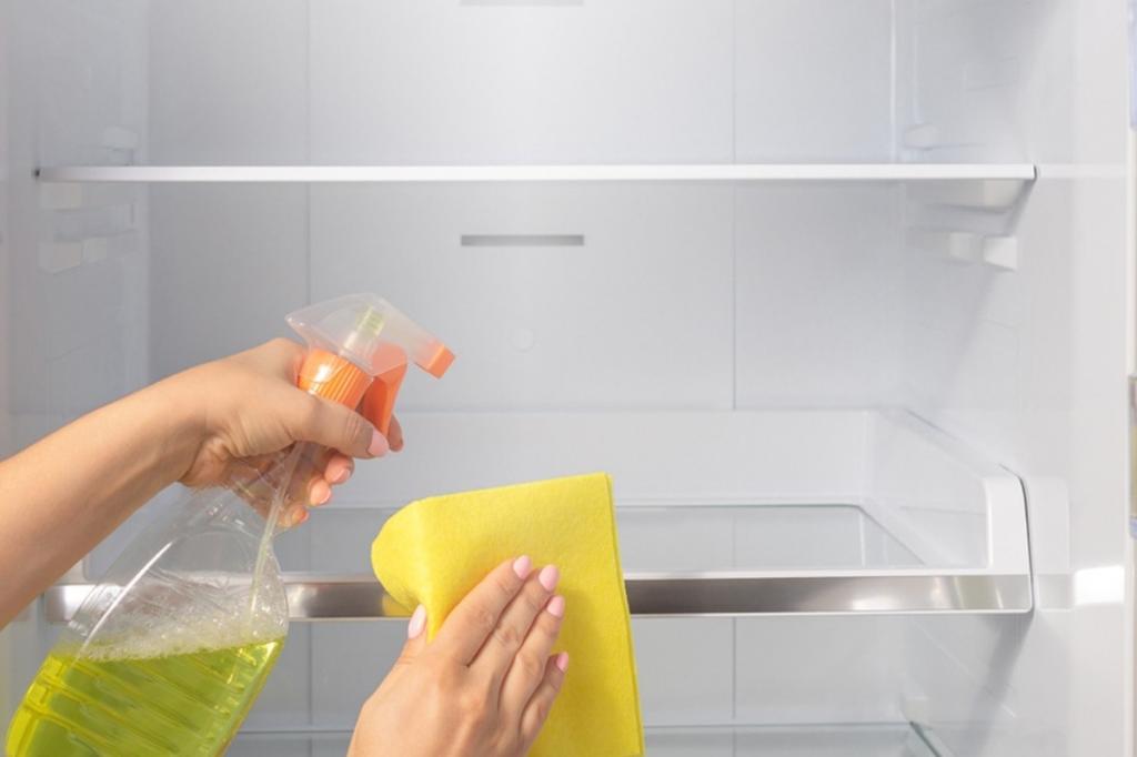 How To Clean A Mini Fridge? Step-By-Step Guide
