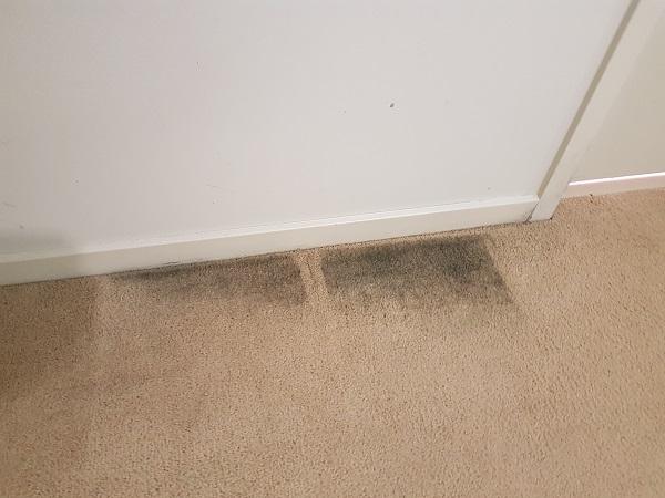Wet Carpet, call P.J's Carpet Care today. Prompt attention can really help.