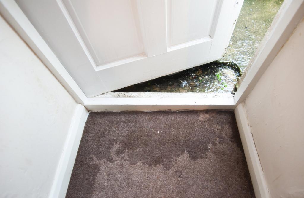 What to do about Flood Damaged Carpet? Check out these tips... - The Carpet Guys