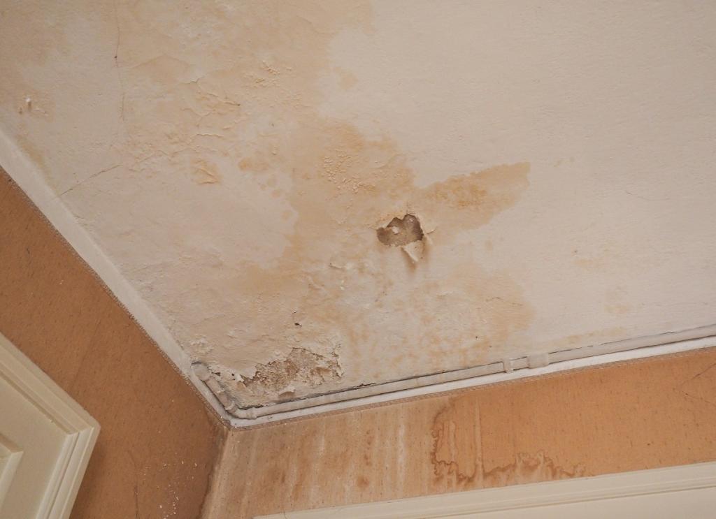 How to Repair Water Damaged Ceilings - Integrity Restoration