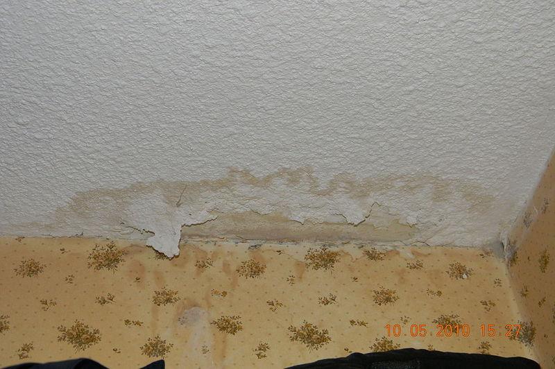 How To Stabilize Water Damaged Plaster Walls? 5 Steps - Krostrade