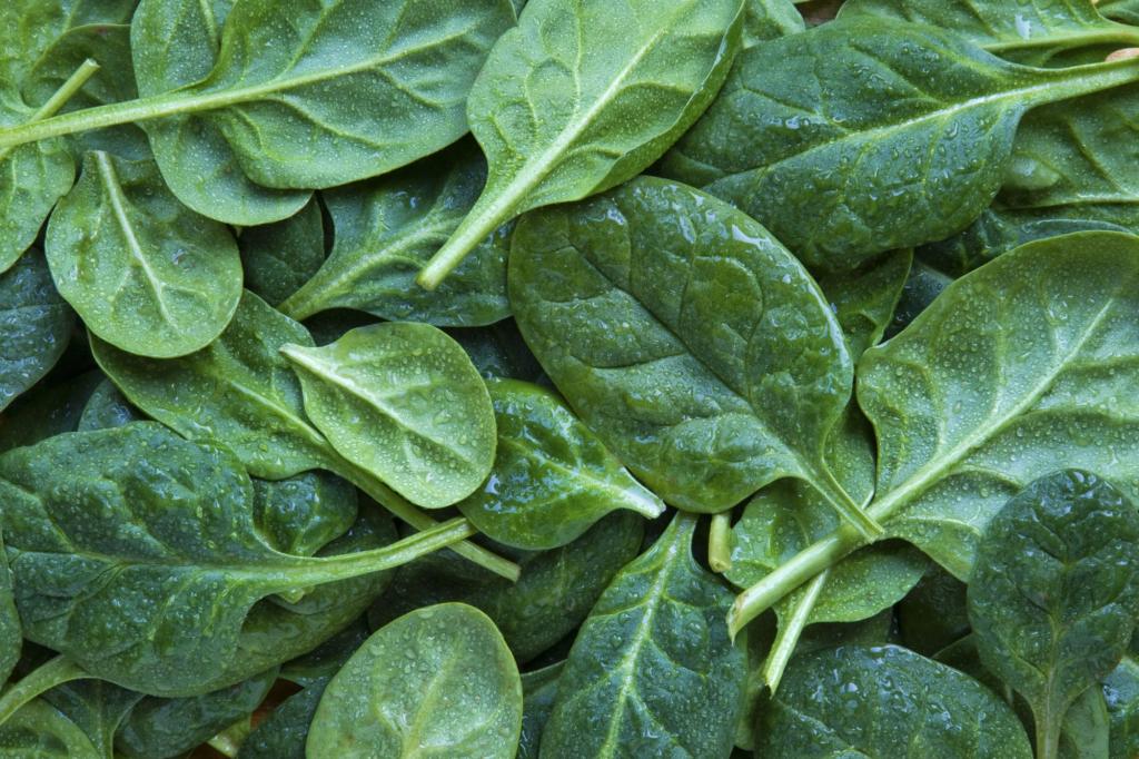 How to Store Spinach to Keep It Fresh for Longer | Allrecipes