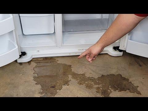 Why Is My Refrigerator Leaking Water Top Full Guide 2022