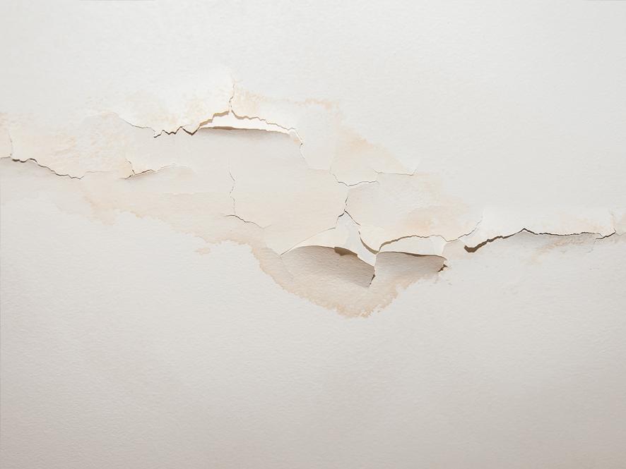 How To Repair Water Damage In Your Living Room - Inspirations Paint