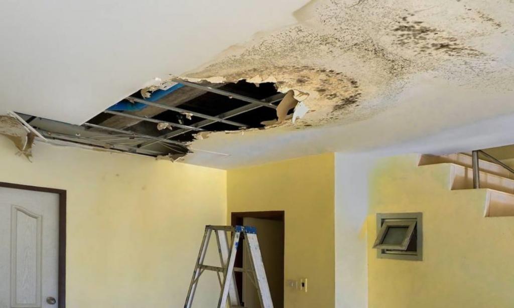 A Beginner's Guide To Ceiling Repair | DIY Projects