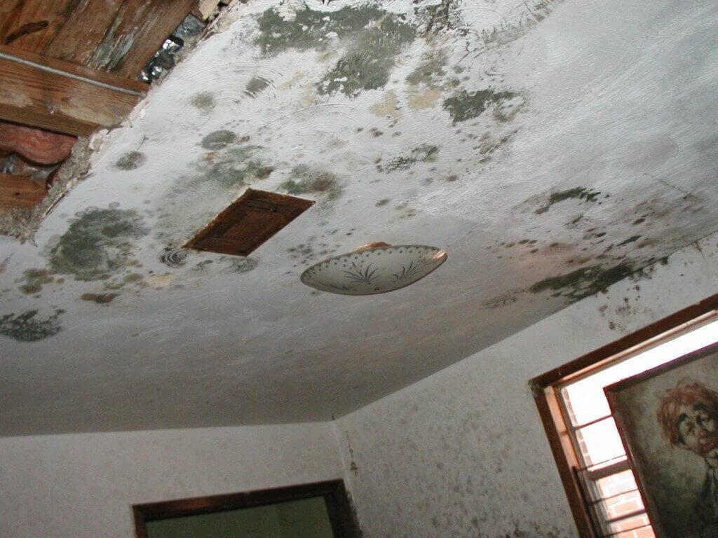 How to Repair Popcorn Textured Ceiling After Water Damage - Drywall Repairman - Building Restoration Service