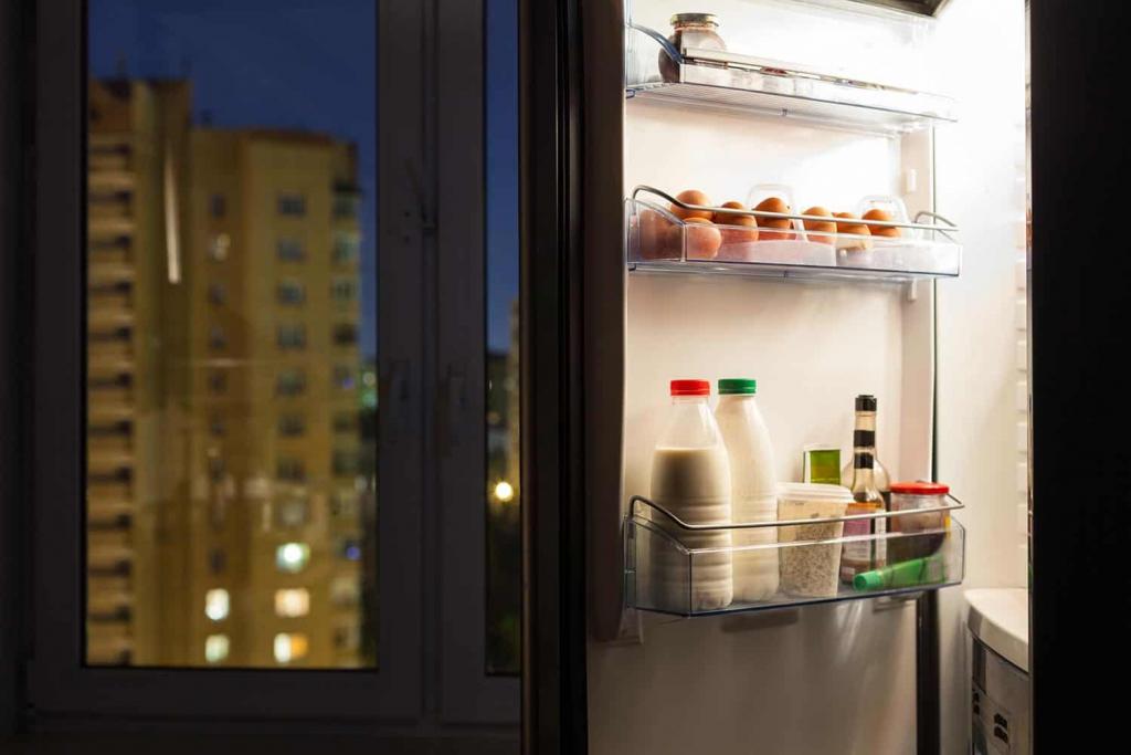 Which Way Should A Refrigerator Door Open? - Kitchen Seer