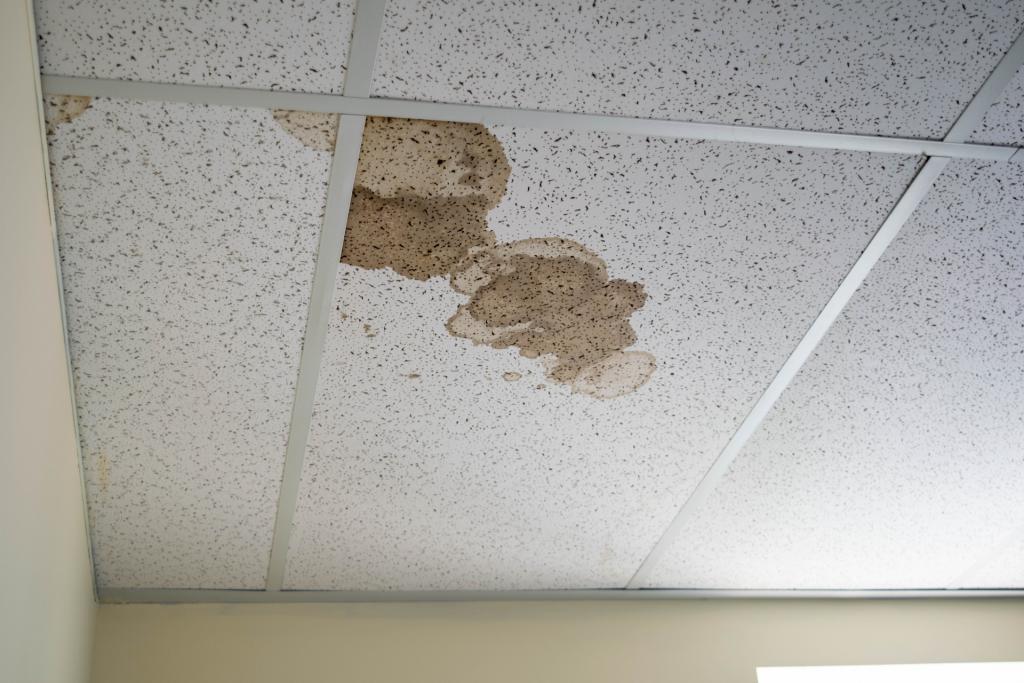 Replace Ceiling Tiles