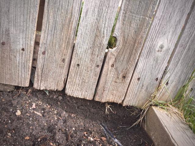 drainage - How do I limit the water flowing through my neighbor's fence into my yard? - Home Improvement Stack Exchange
