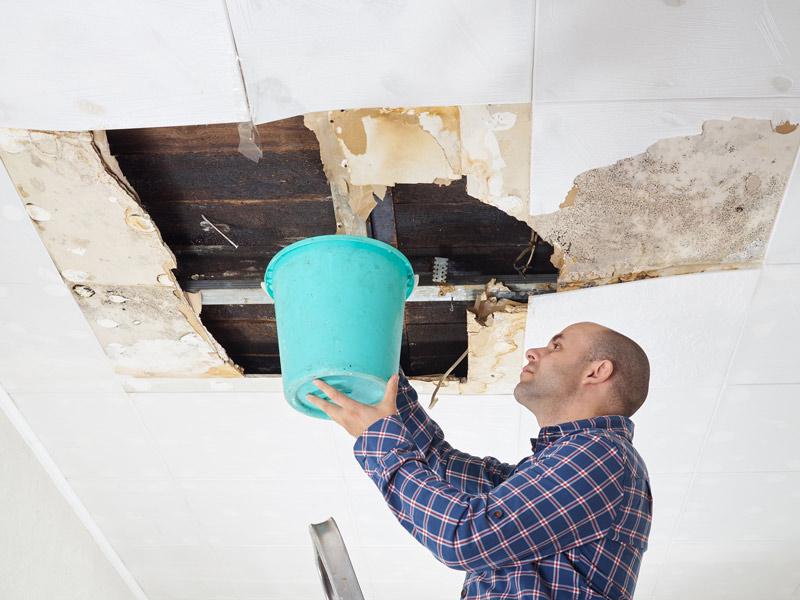 How to Remove Ceiling Mold After a Roof Leak - Element Roofing
