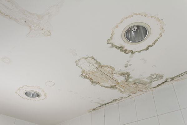 Ceiling Water Damage? Here's 5 Steps to Take - Rock Emergency