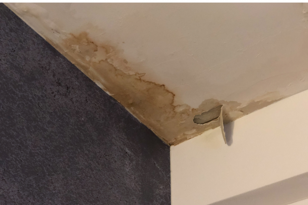 RV Water Damage Wall Repair: What To Do If You Find A Leak