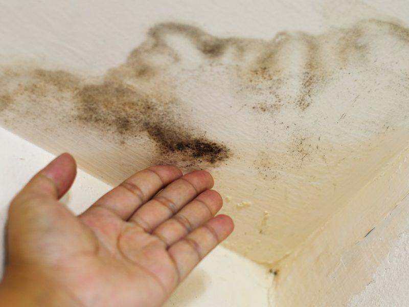 Solution for Water Damaged Drywall Sagged Ceiling » The Money Pit