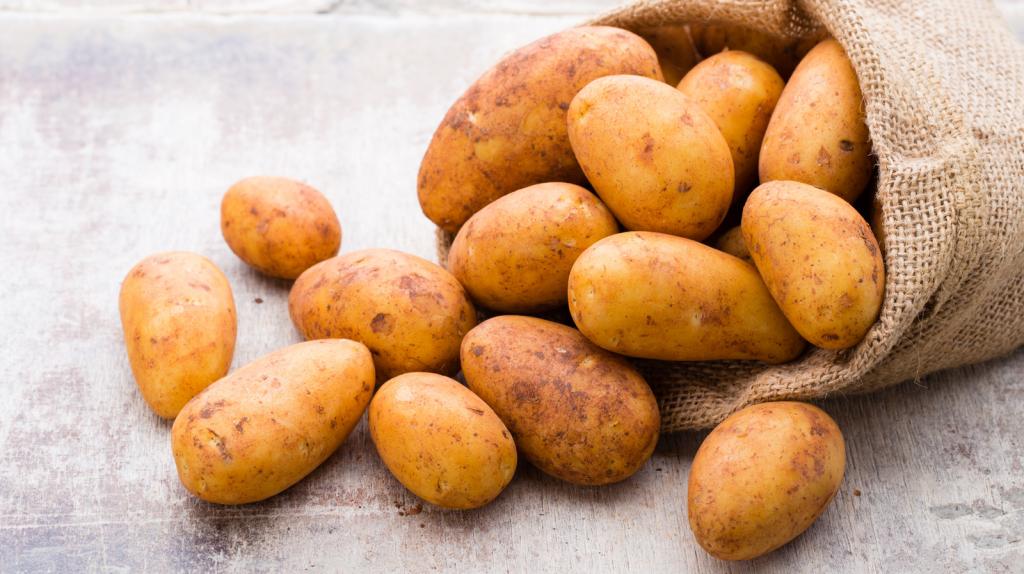 The Real Reason Russet Potatoes Are The Best For Baking