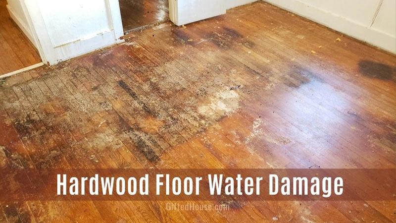 Water Damage to Hardwood Flooring. How You Fix It?