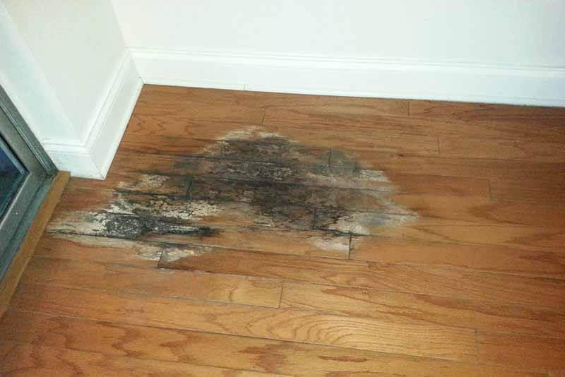 How to Deal With Water Damage to Your Wood Floors | Orange Blog