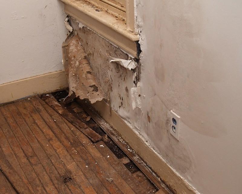 10 Water Damage Cleanup Tips