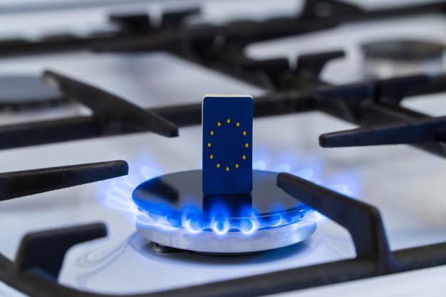 Can I Use Propane Gas In My Natural Gas Stove? – LNG2019