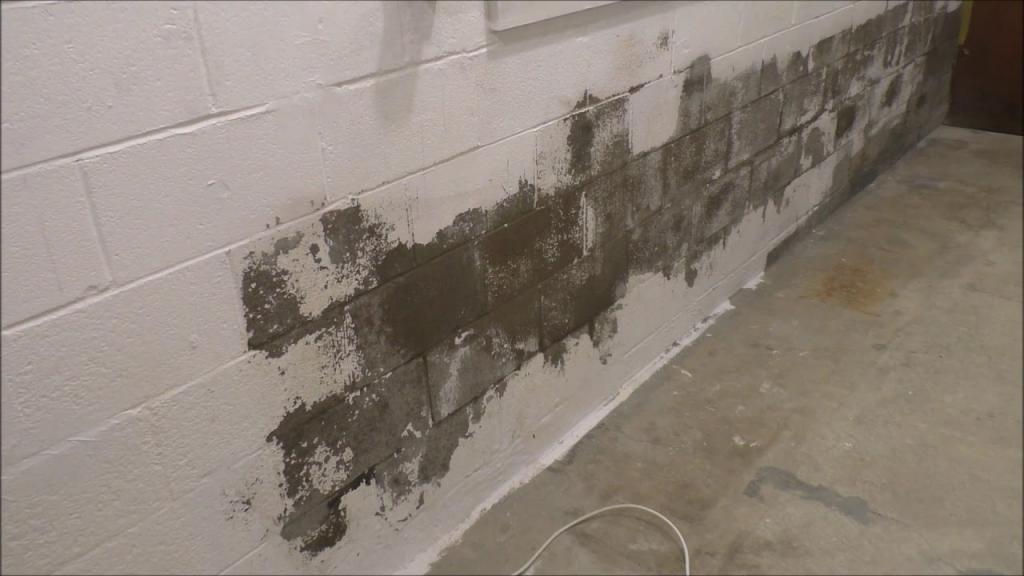 TRYING TO REMOVE THE MOISTURE OUT OF THE CINDER BLOCK WALL - YouTube