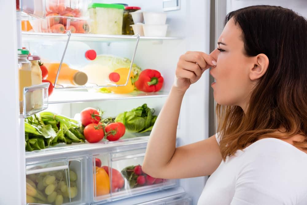 How To Get Rid of Fishy Smell in Refrigerator? - Miss Vickie