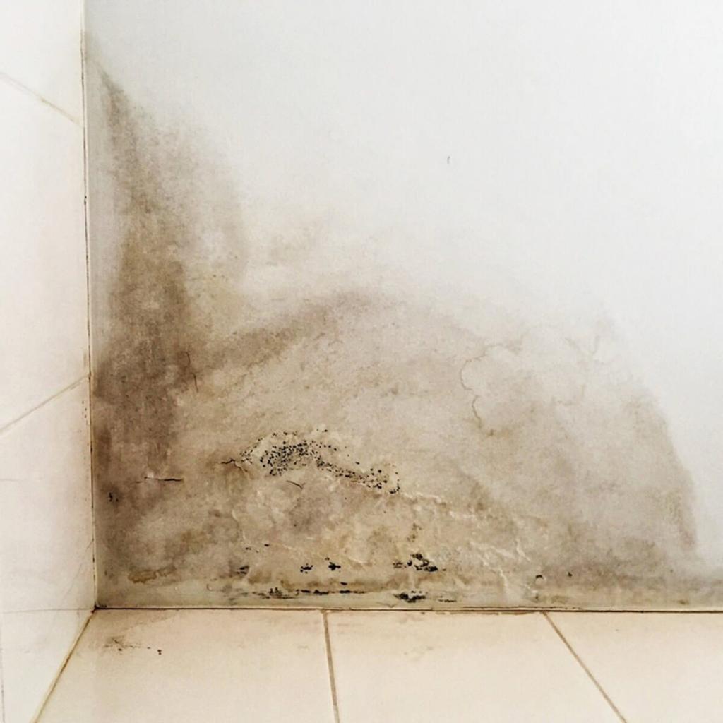 12 Tips for Water Damage Repair — The Family Handyman