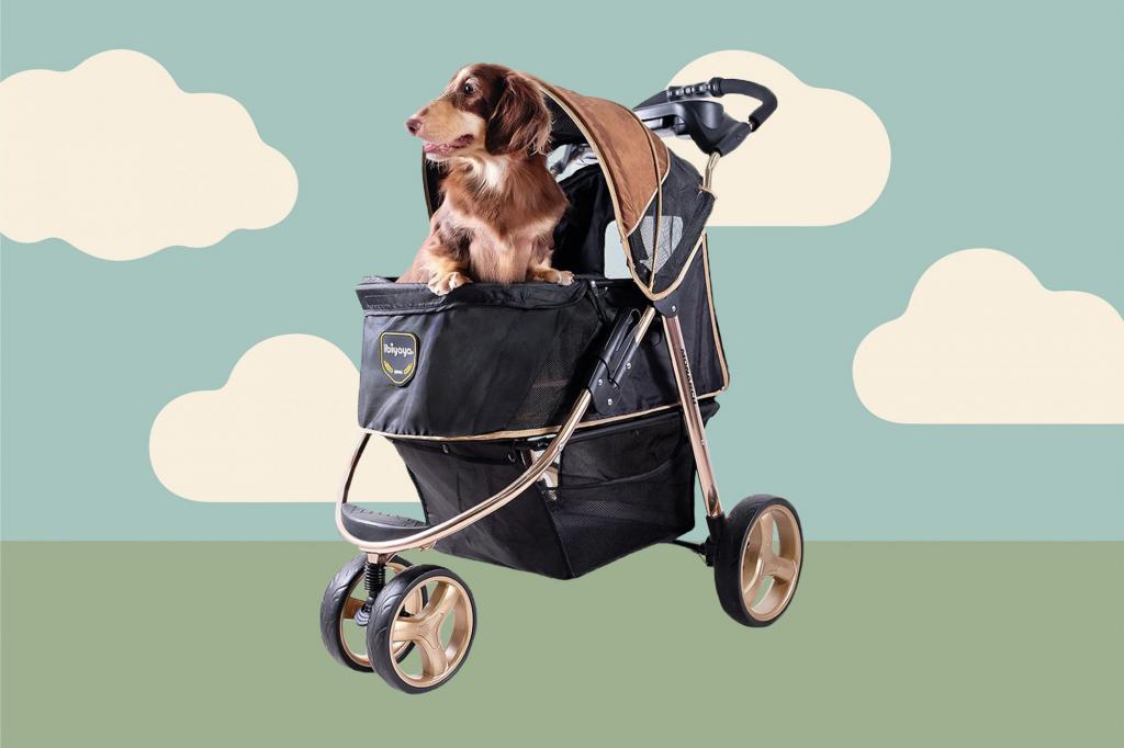10 Dog Strollers For Large and Small Dogs | Daily Paws