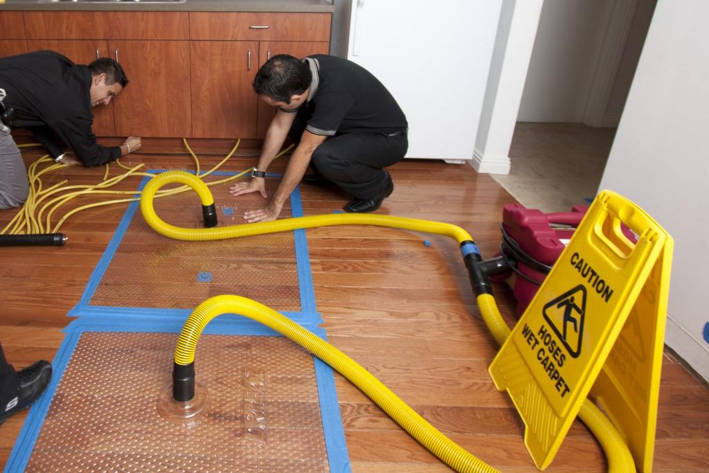 How to Repair Hardwood Floor Water Damage Step by Step