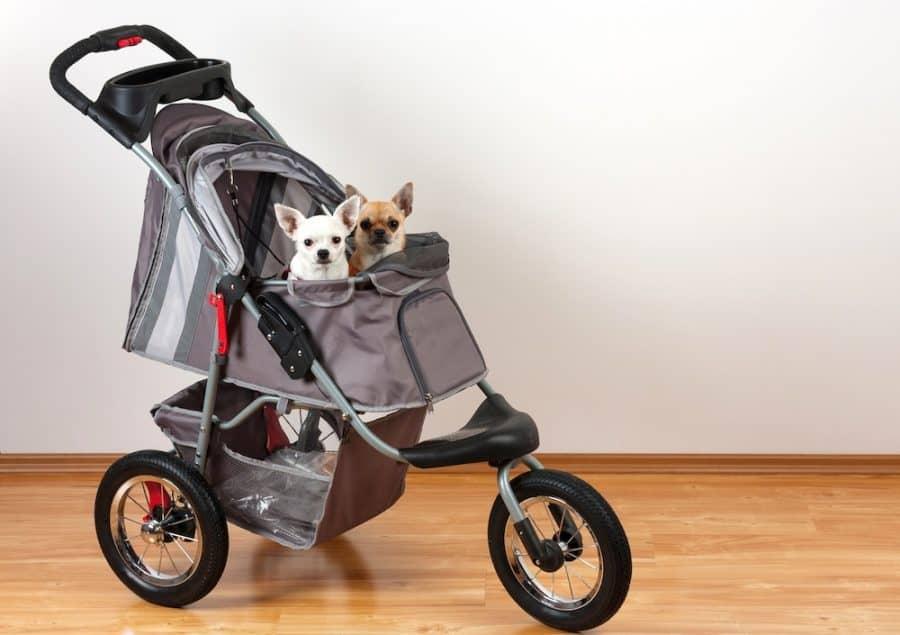 5 Best Dog Strollers [2022 Reviews]: Carting Your Canine On Wheels!