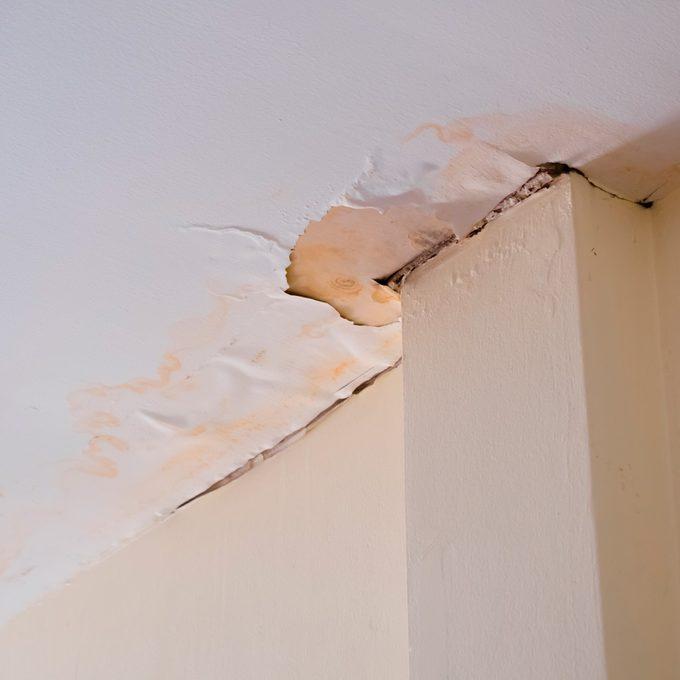 What to Do When Your Ceiling Has Water Damage | Family Handyman
