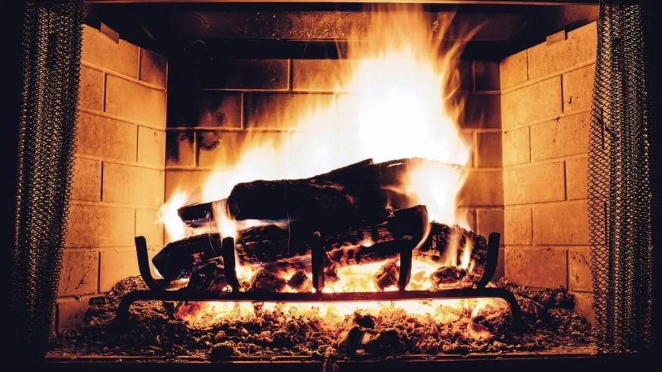 11 Kinds of Wood that Should Not be Burned in a Fireplace + BONUS MATERIAL - Down to Earth Homesteaders