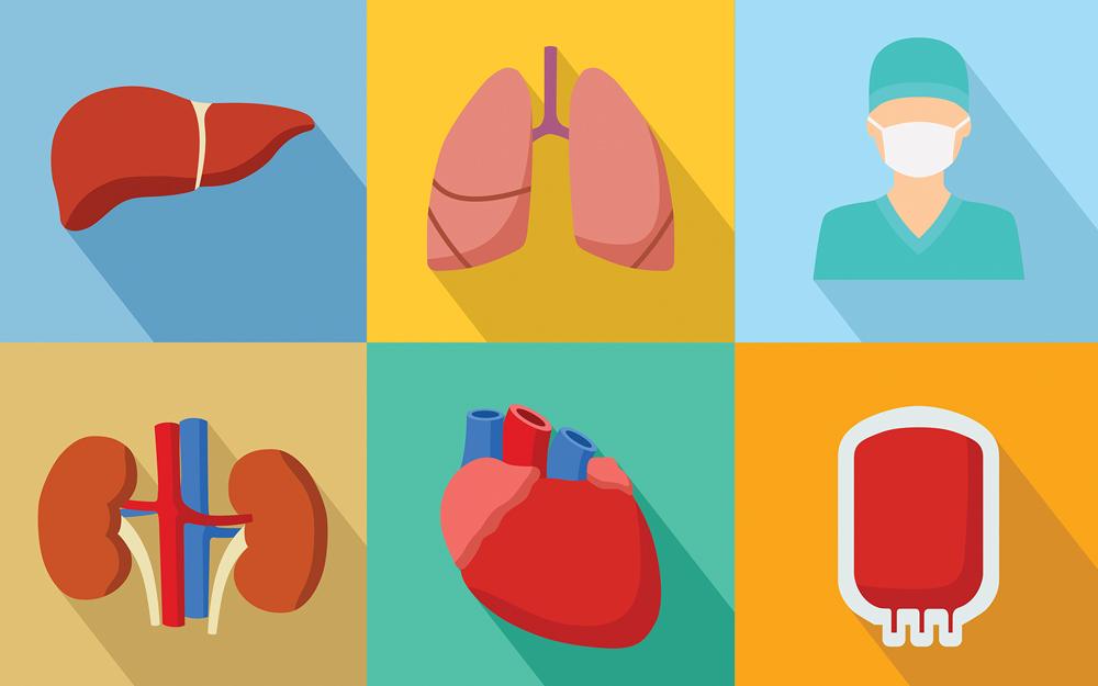 7 Myths About Organ Donation | Cedars-Sinai