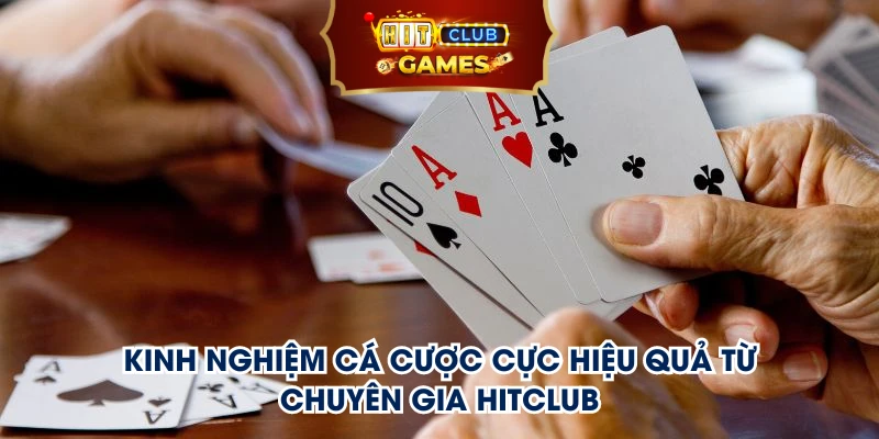 Kinh nghiệm cá cược cực hiệu quả từ chuyên gia Hitclub